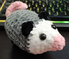 A baby opossum