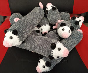 Longossums (Long Opossums)