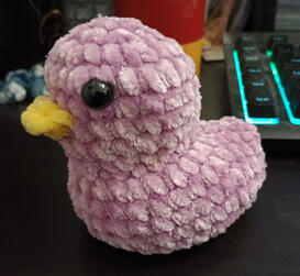 Purple Duck Custom